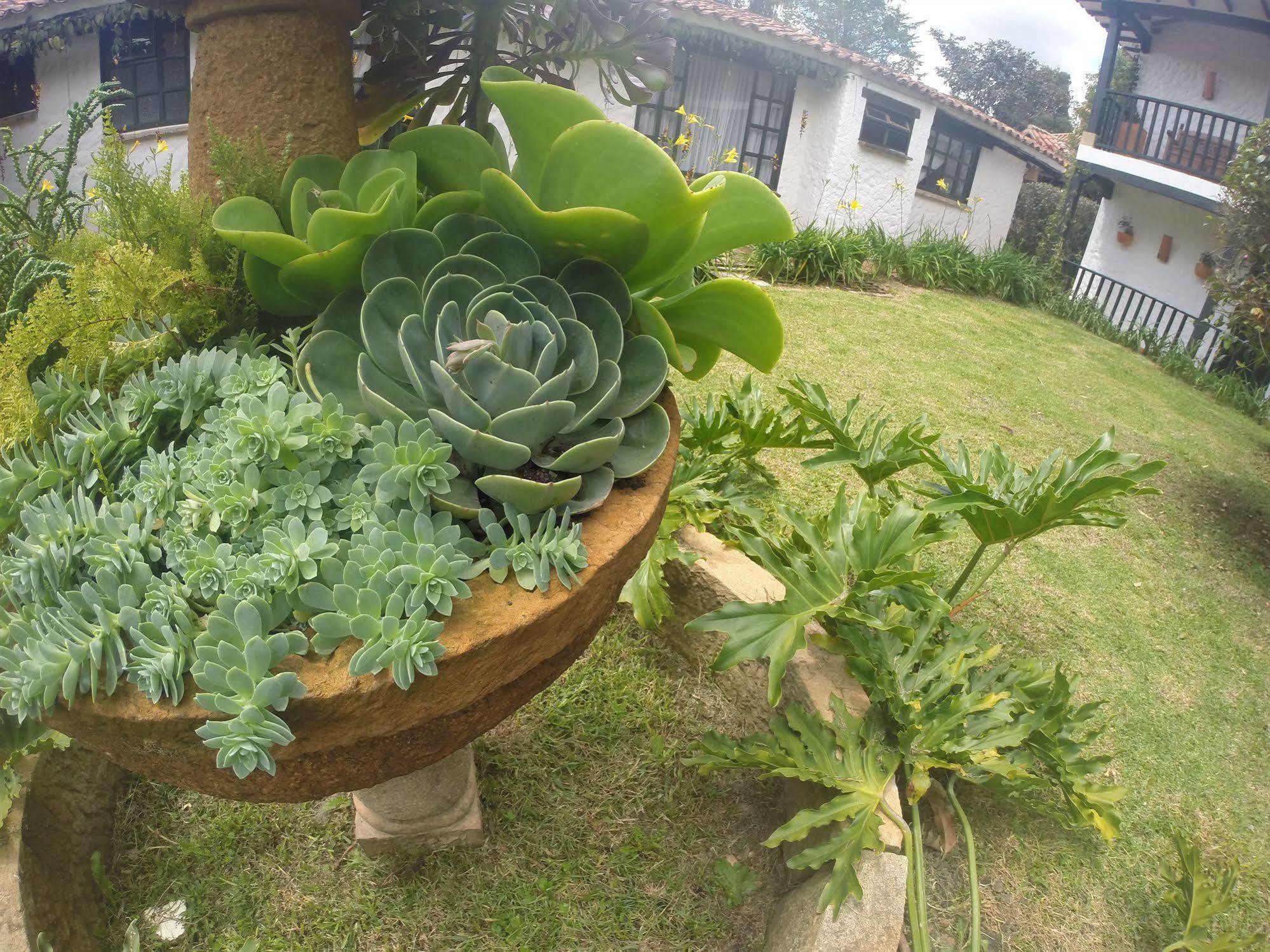 Casa San Nicolas 비야 데 레이바 외부 사진