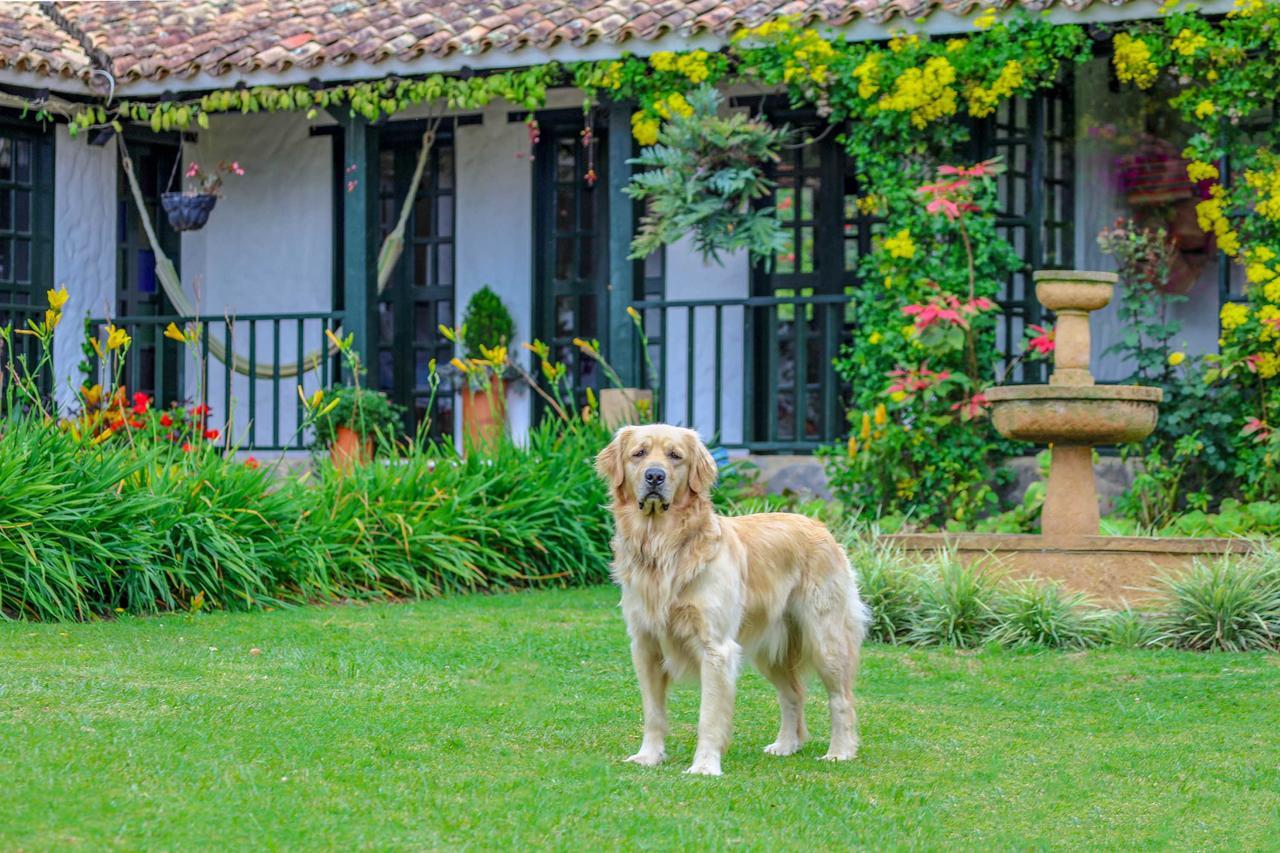 Casa San Nicolas 비야 데 레이바 외부 사진